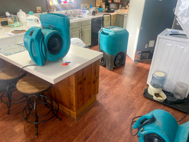 Best Flood damage cleanup  in Zionsville, IN