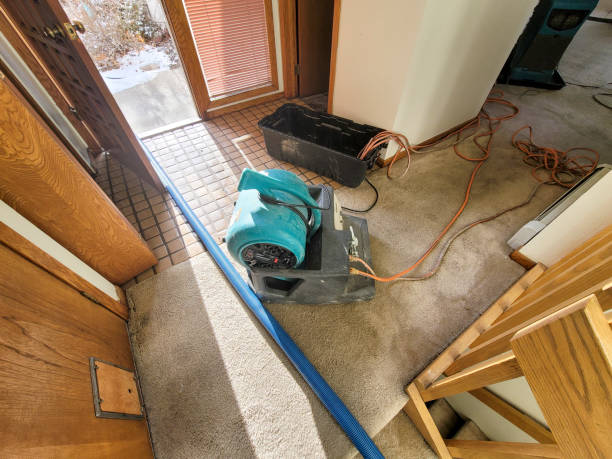 Best Carpet water damage restoration  in Zionsville, IN