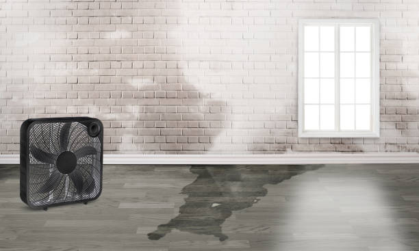 Trusted Zionsville, IN Water damage restoration Experts