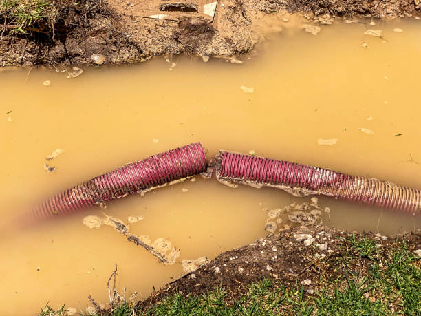 Best Professional water damage repair  in Zionsville, IN